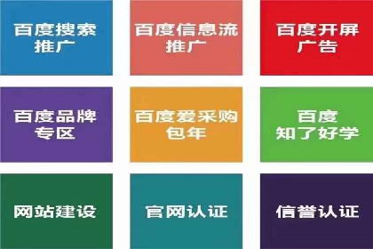 成功托管SEM竞价，实现品牌快速曝光